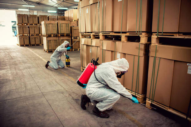 Best Bed Bug Extermination  in El Dorado, AR