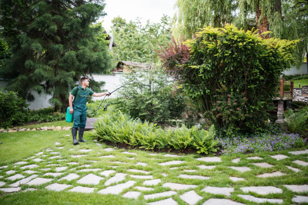 Best Mosquito Control Services  in El Dorado, AR