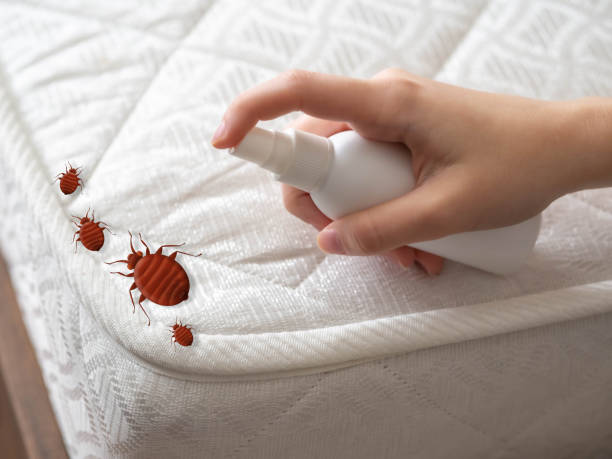 Trusted El Dorado, AR Pest Control Experts